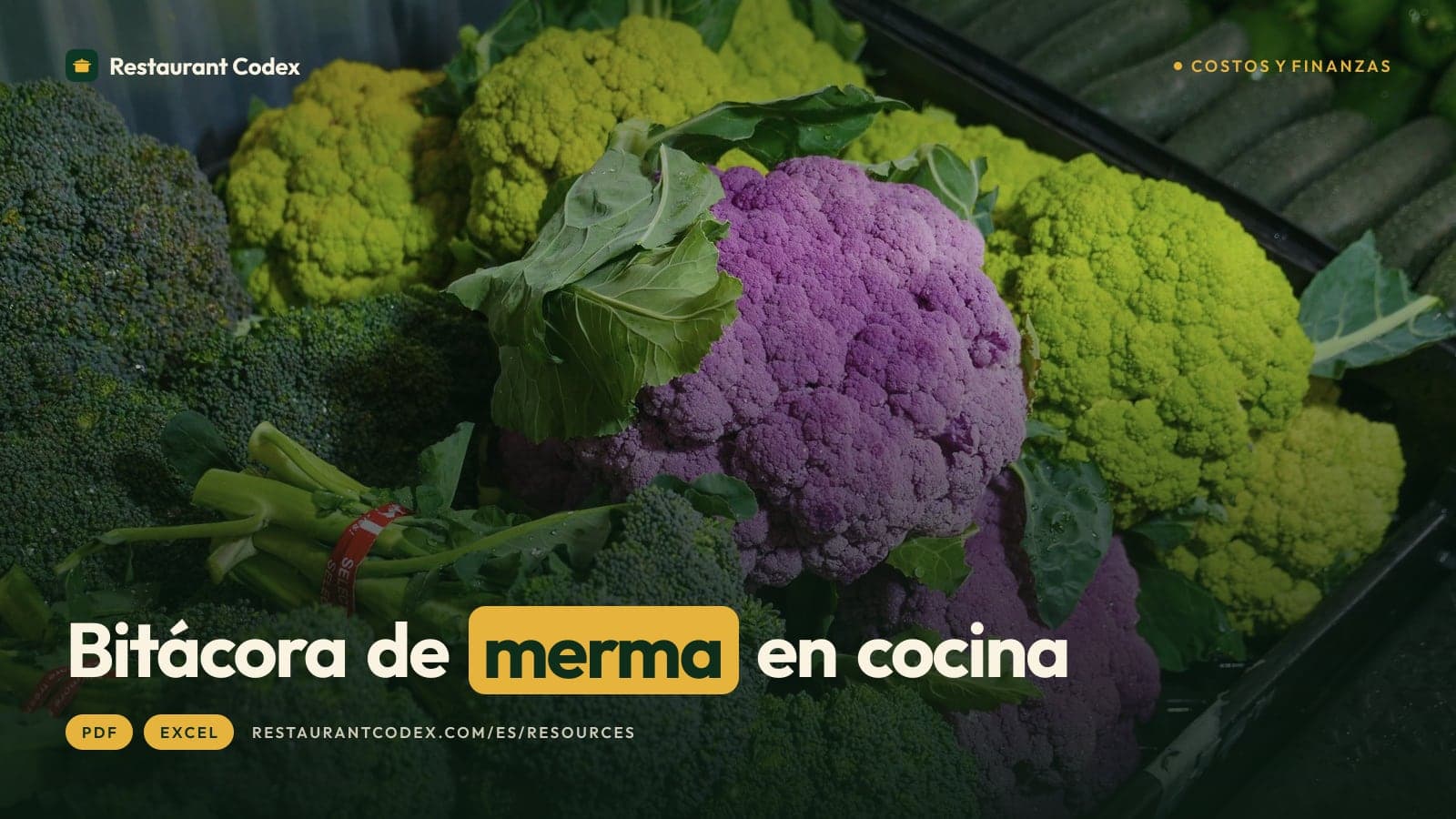 Bitácora de merma en cocina